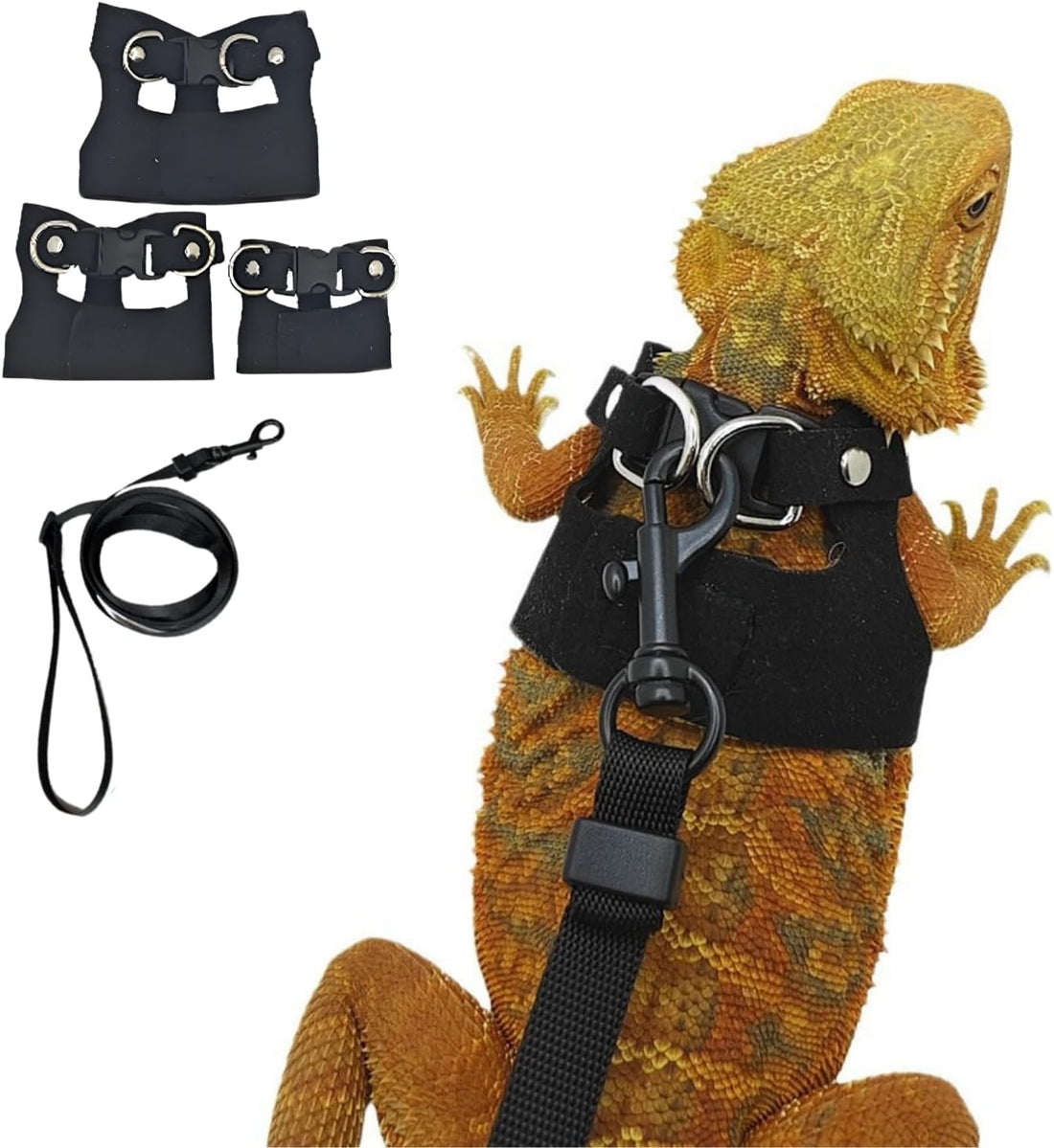 3 Pack Bearded Dragon Harness and Leash Set