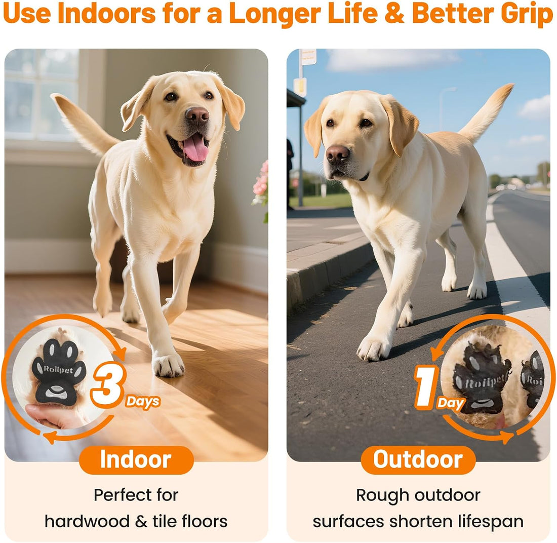 Dog Paw Pads for Senior Dogs to Prevent Slipping on Hardwood Floors