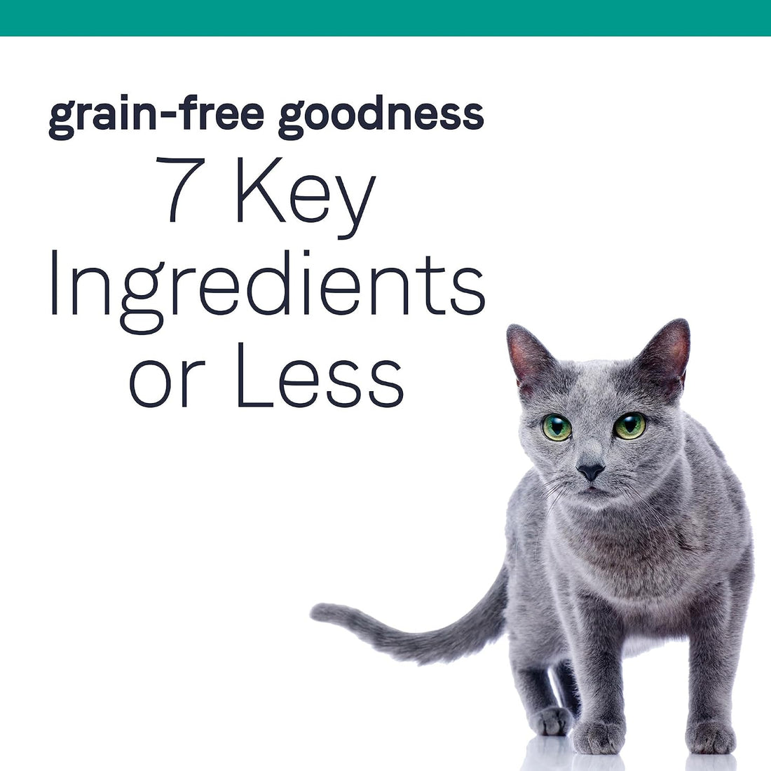 CANIDAE Pure Goodness Dry Cat Food, Real Salmon, 10 lb