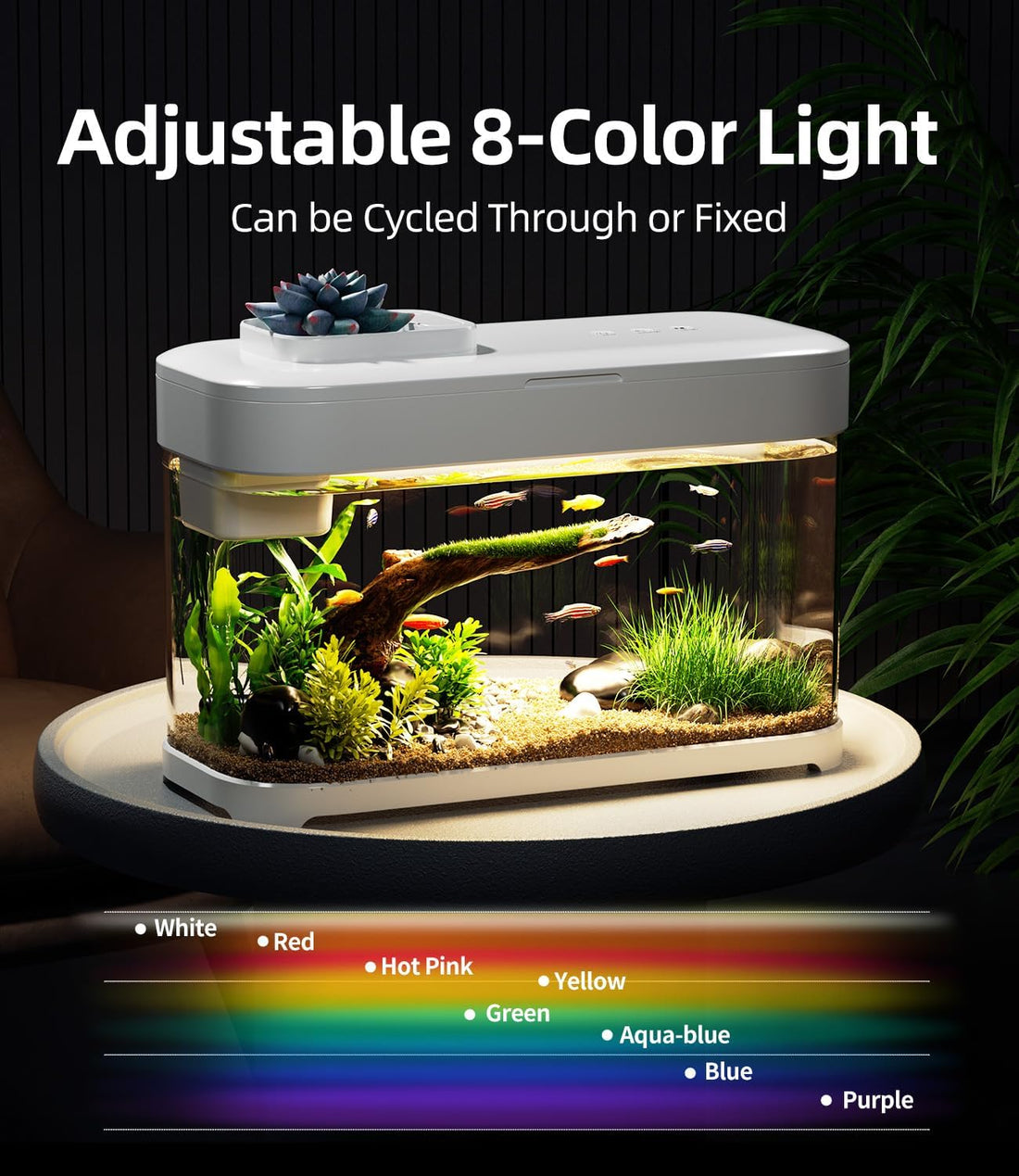 3 Gallon Fish Tank Starter Kit with Heater Hidden Filtration Light