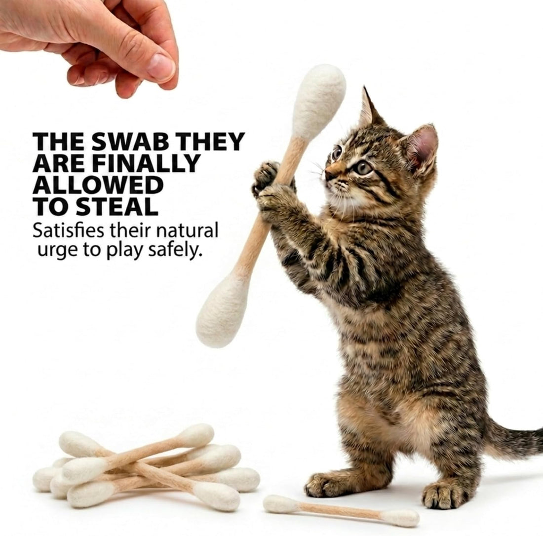 Glaciart One Swabs Cat Toys with Catnip - 6 Pk | Durable for Chew