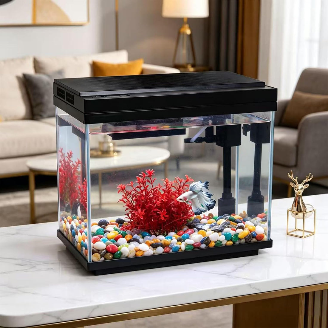 3 Gallon Fish Tank with Filter and Light