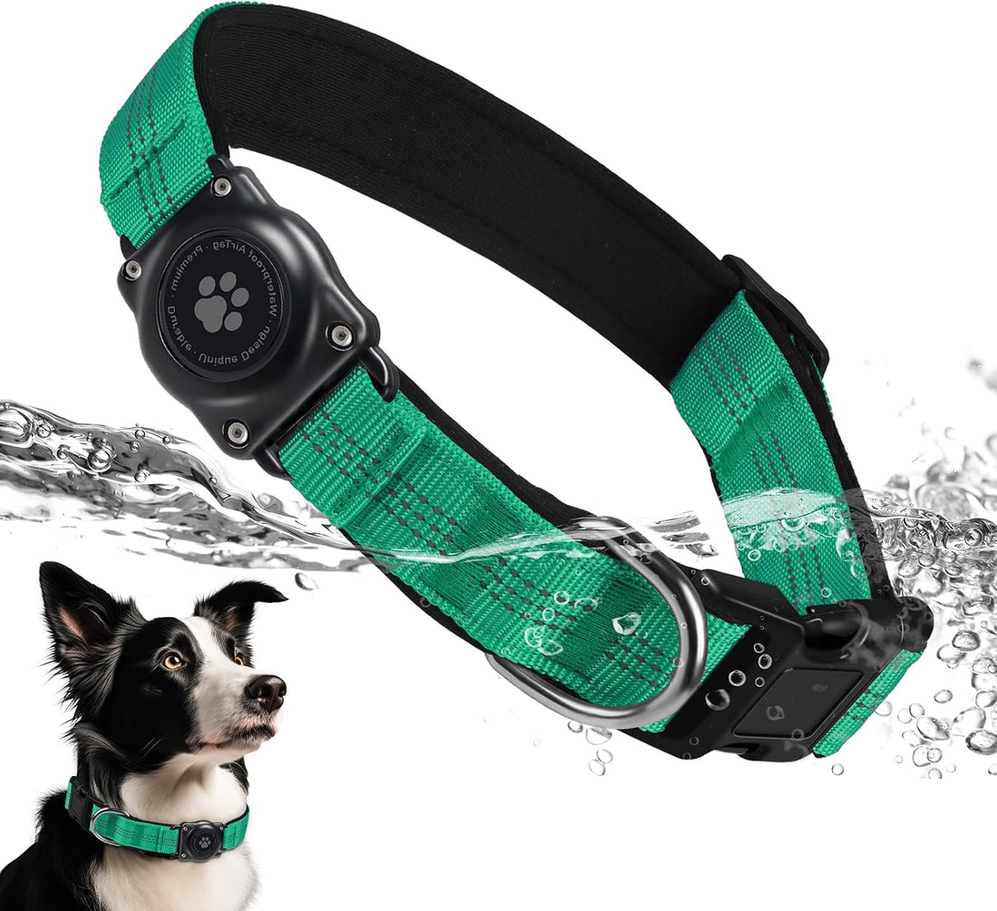 Upgrade Dog Collar with AirTag Holder, IP68 Waterproof, Blue, M