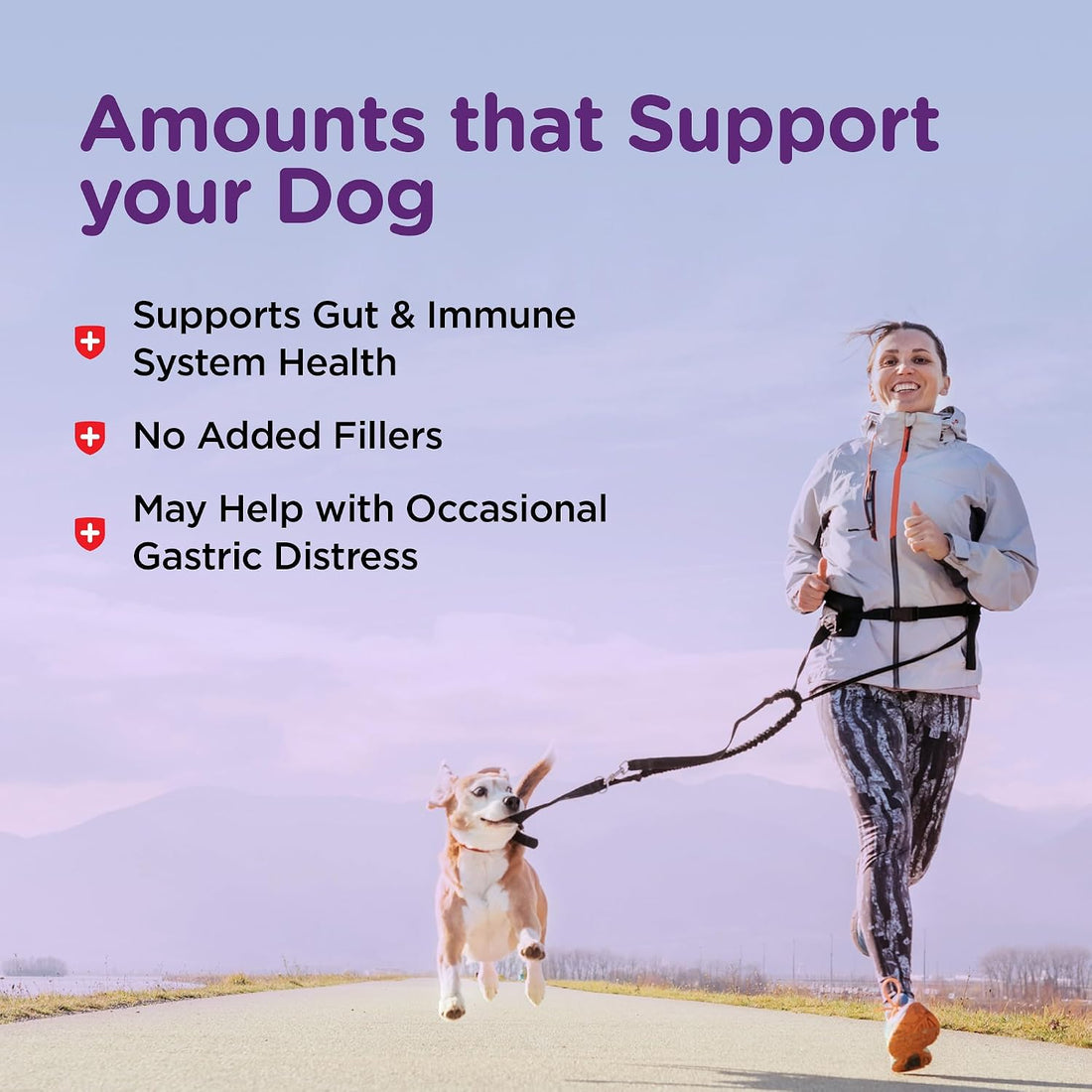 Nutri-Vet Bladder Control for Dogs, Dog Urinary Health Support