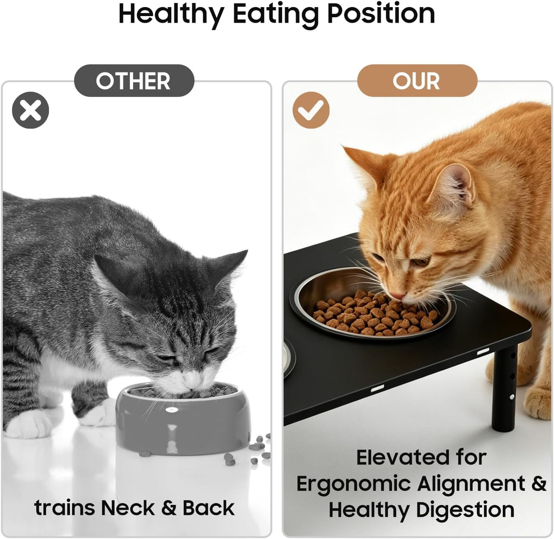 Adjustable Elevated Cat Bowls,6°/12° Tilted Cat Bowl Stand