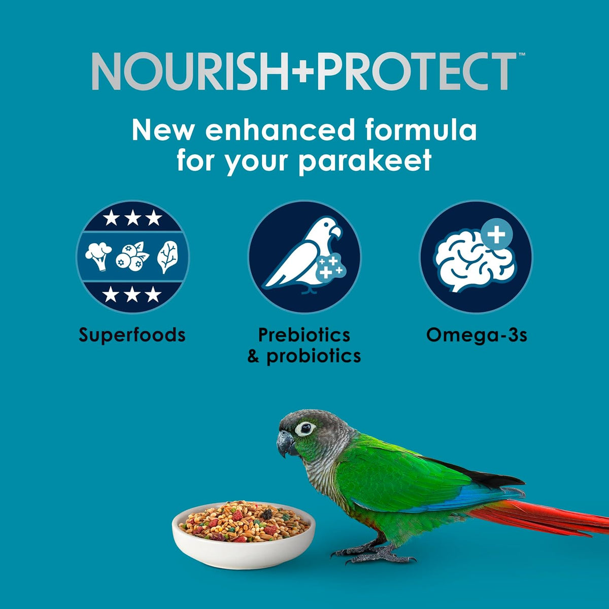 Kaytee Forti-Diet Pro Health Nourish+Protect Parakeet Food, 2 Pounds