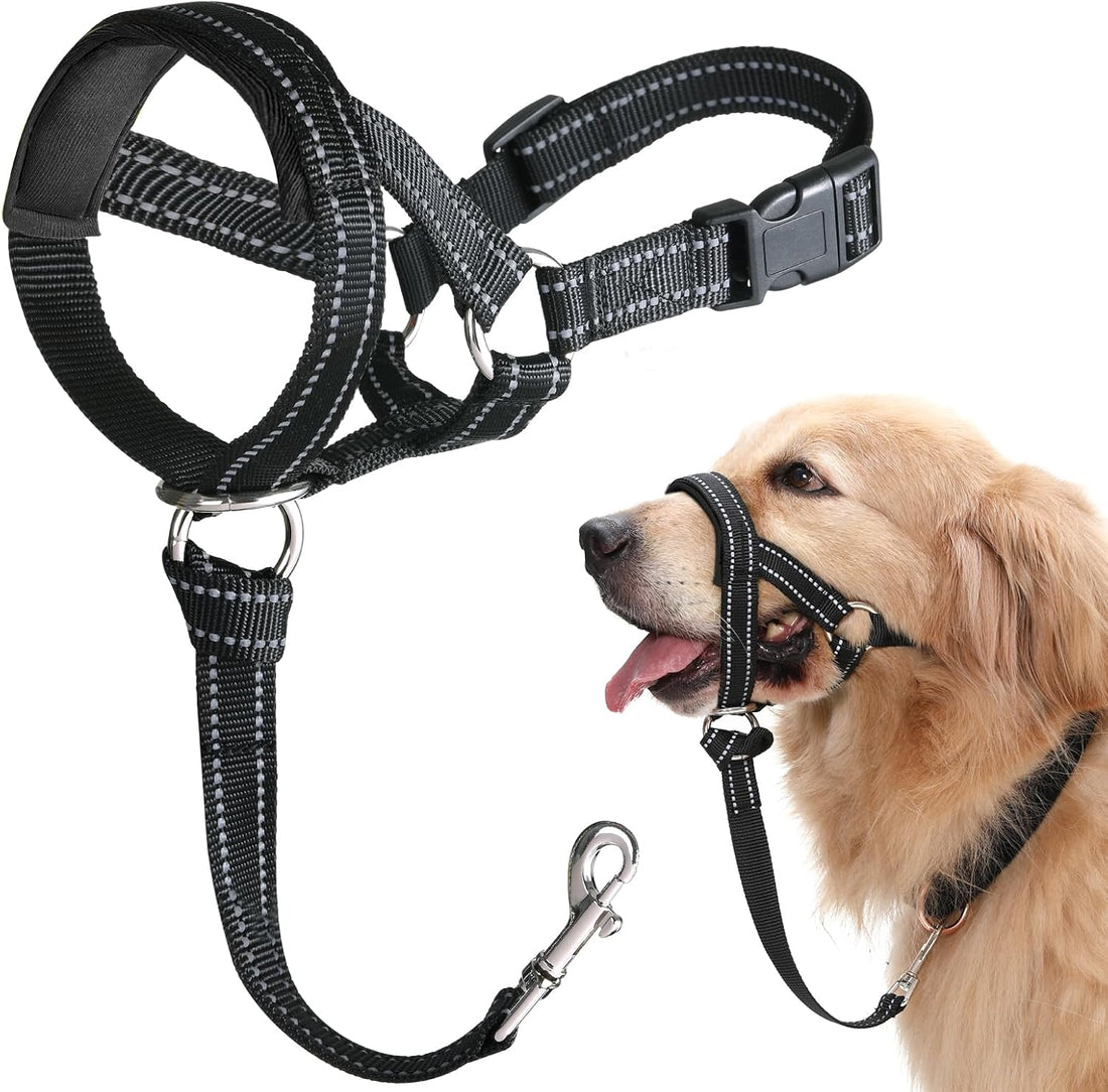 BARKLESS Dog Head Collar, No Pull Training Collar with Soft Padding
