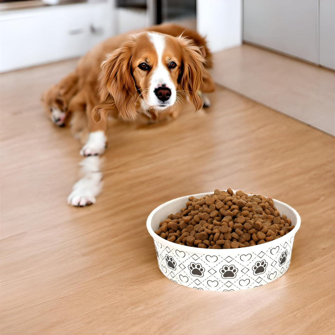 SOUJOY 40Pcs Disposable Pets Bowls, 16 oz Paper Dog Food Bowl