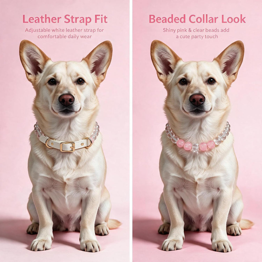 Handmade Dog Collar and Matching Owner Friendship Bracelet Set