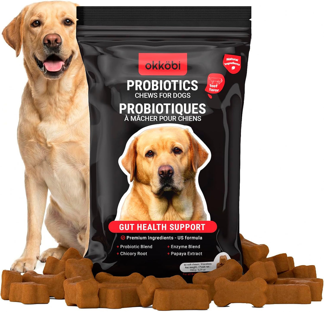 Probiotic Chews for Dogs, 150 Count, Digestive, Gut Health Support