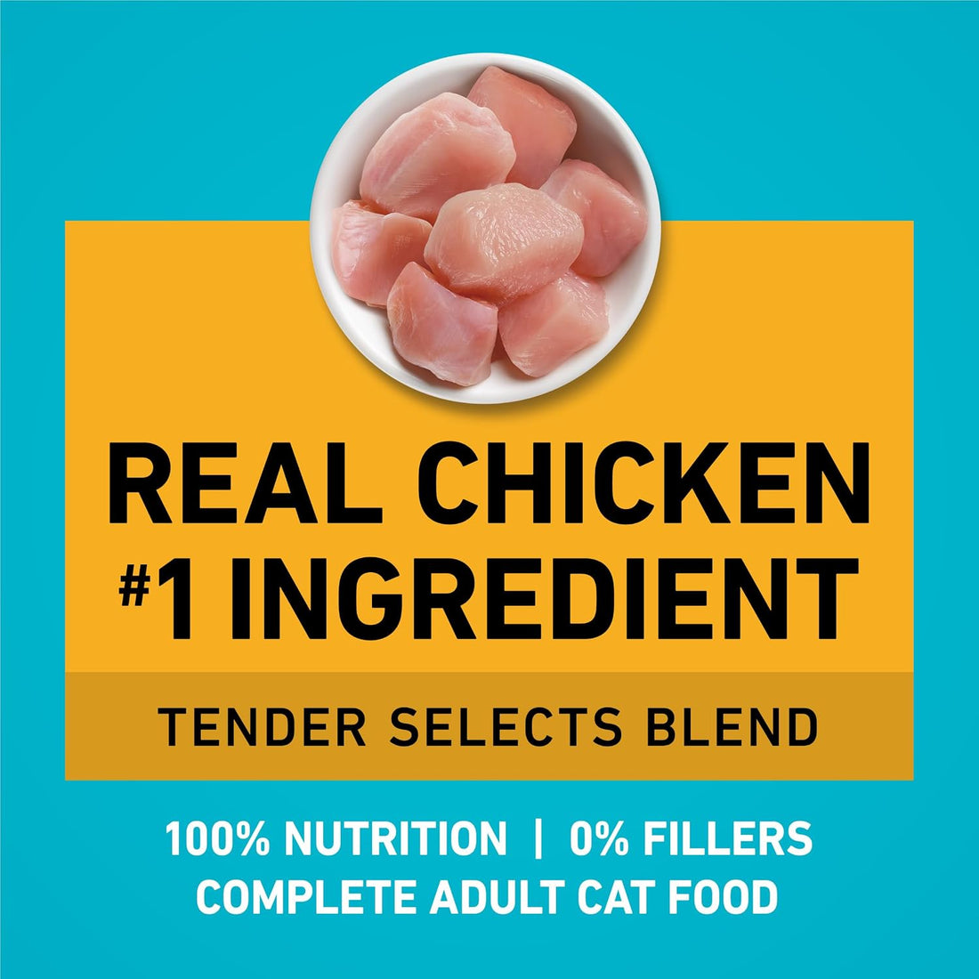 Purina ONE Natural Dry Cat Food