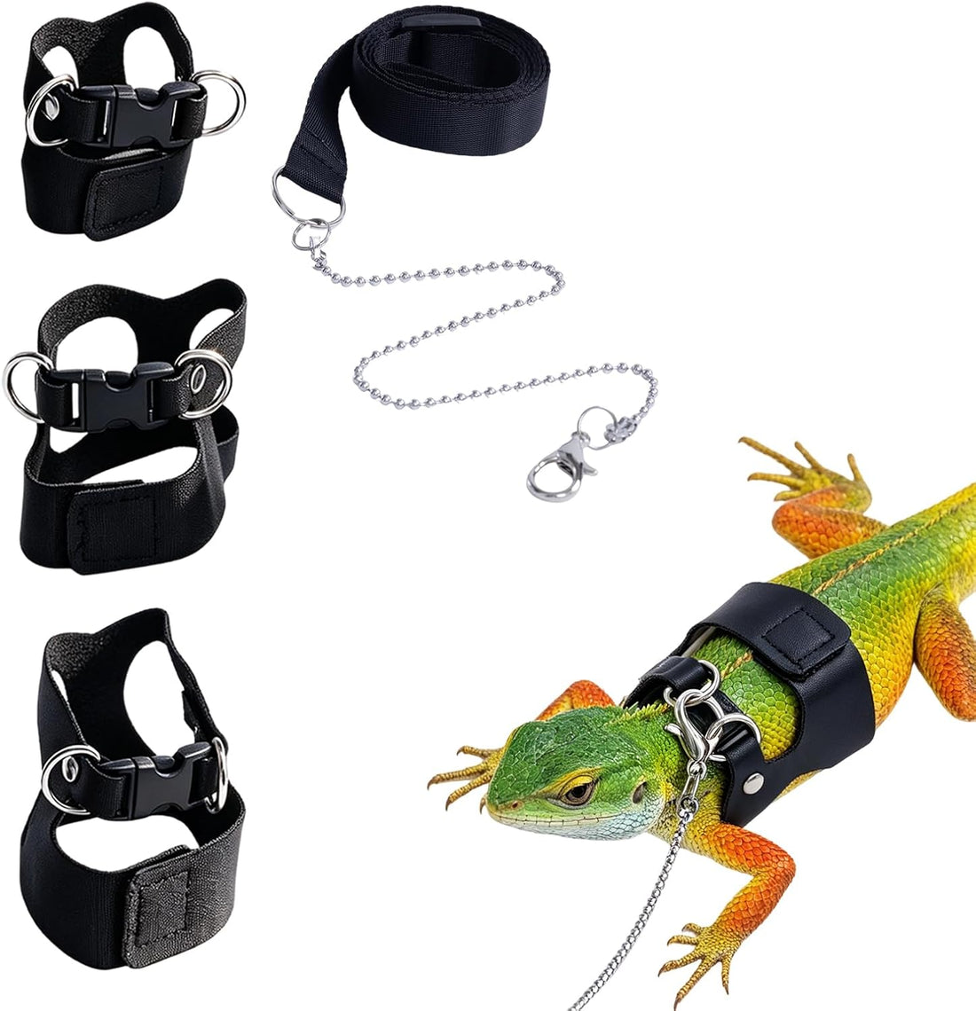 3Pack Bearded Dragon Leash and Harness Set