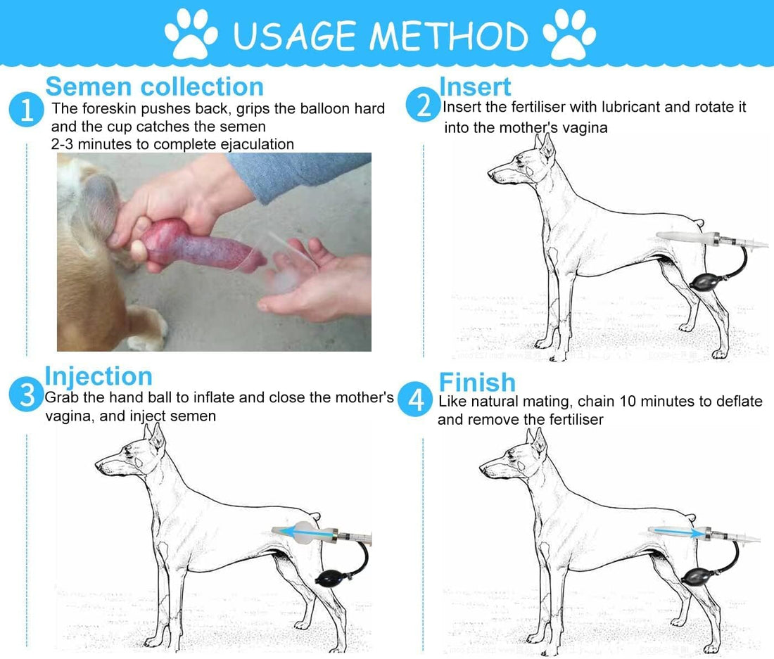 Dog Artificial Insemination Kit for 44-88 lb Dogs in Home Breeding