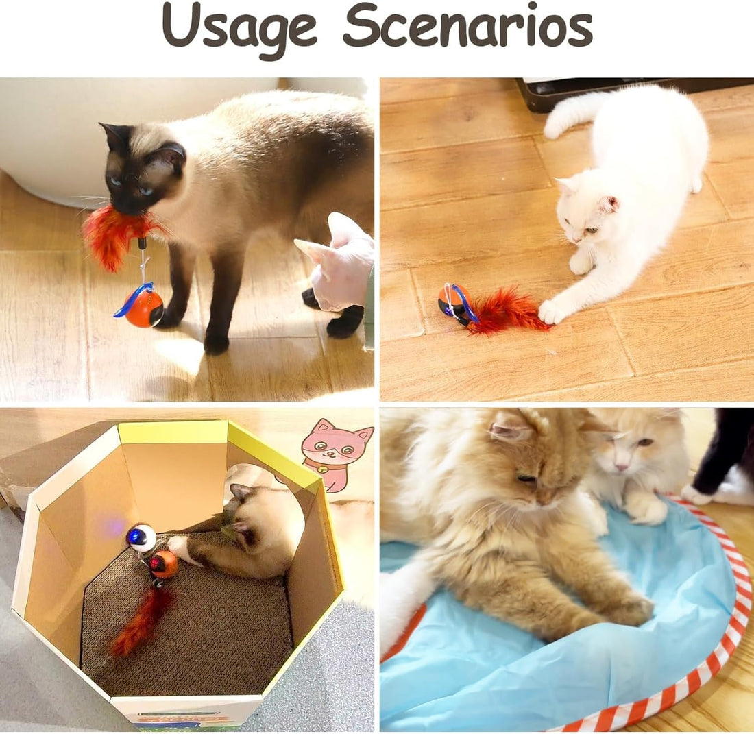 Migipaws Interactive Cat Ball Toy Set, Fun Tracker