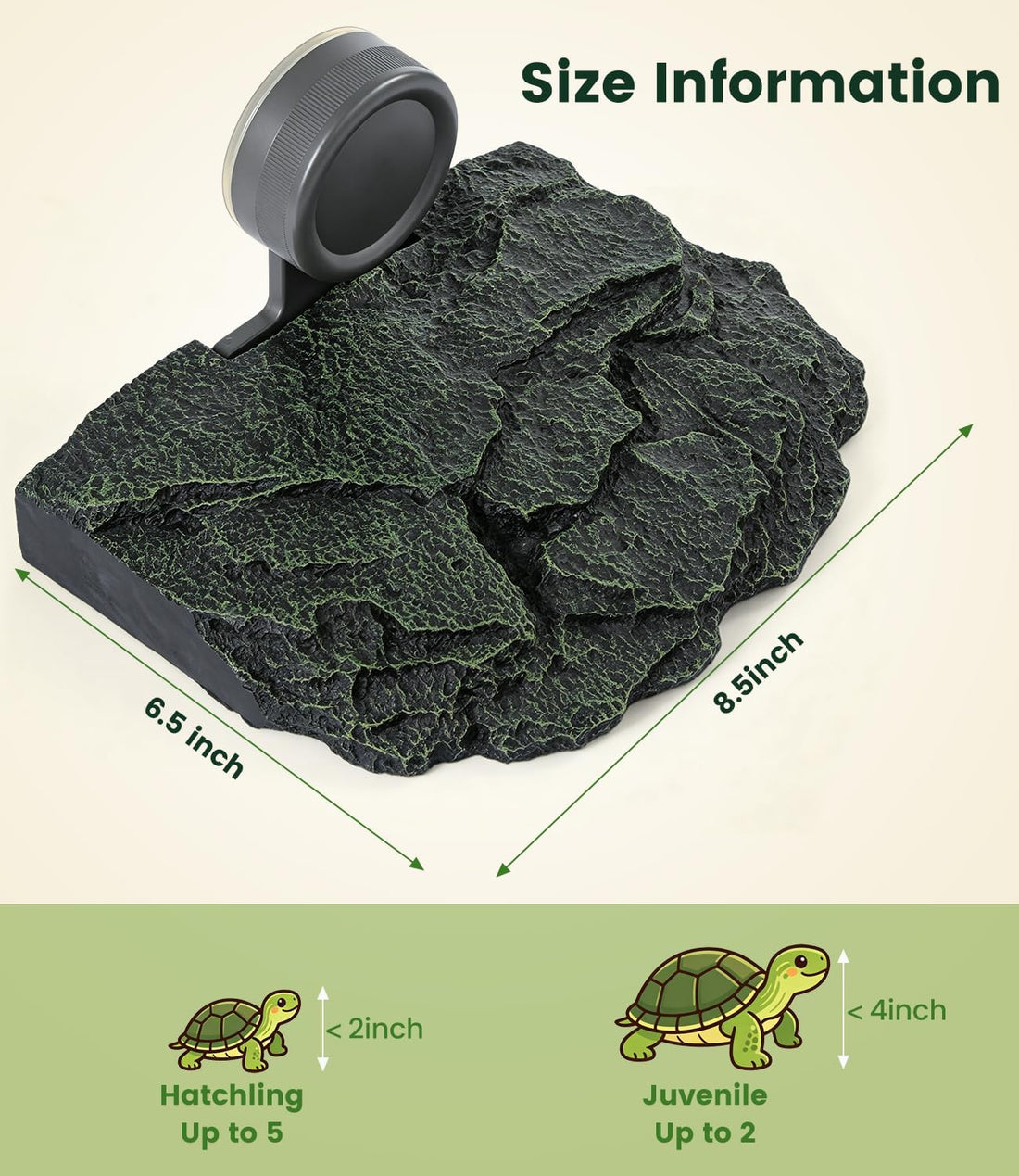 REPTITRIP Turtle Basking Platform for Aquarium 40/45/55/60/65/75/90