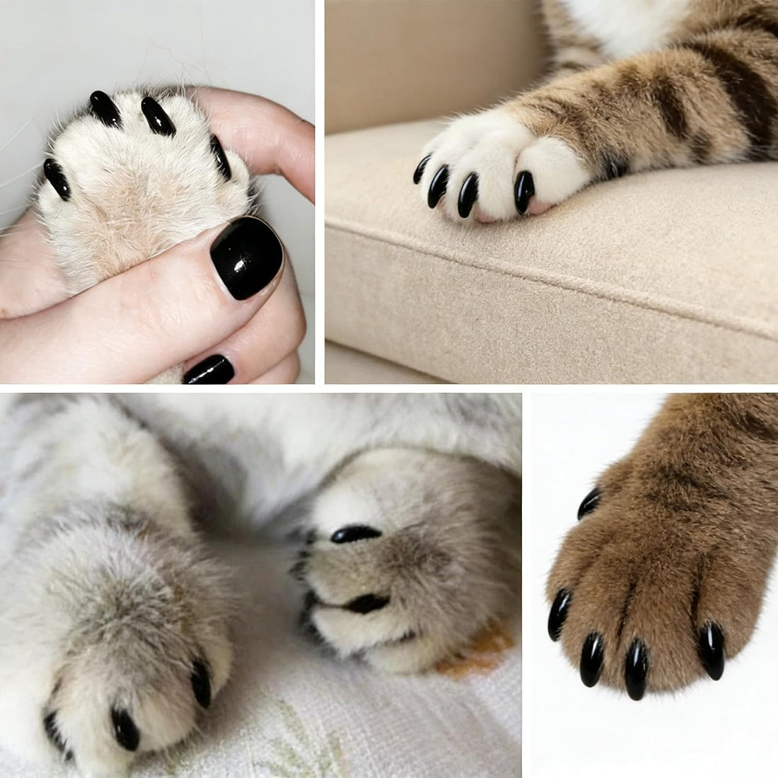 joyous 120pcs Black Kitten Cat Nail Caps Original Factory Set