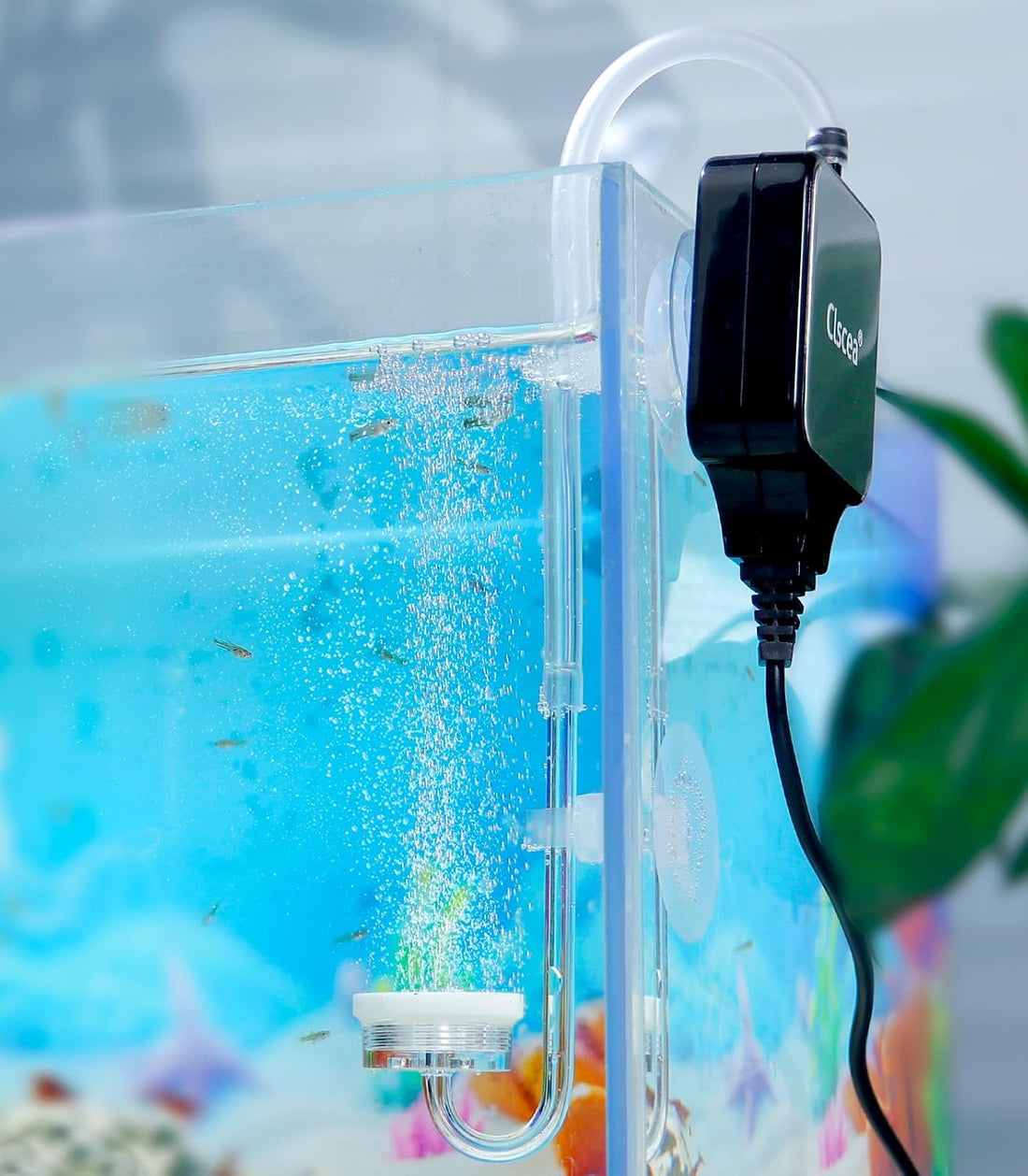 mini Air Pump for Fish Tank 1-15 Gallon Super Quiet, Complete kit