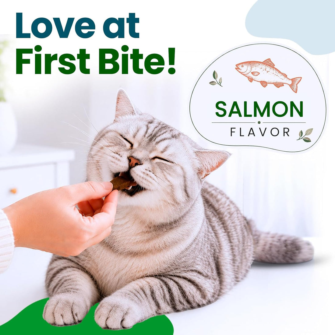 Allergy Chews for Cats Salmon 200 Count with Quercetin