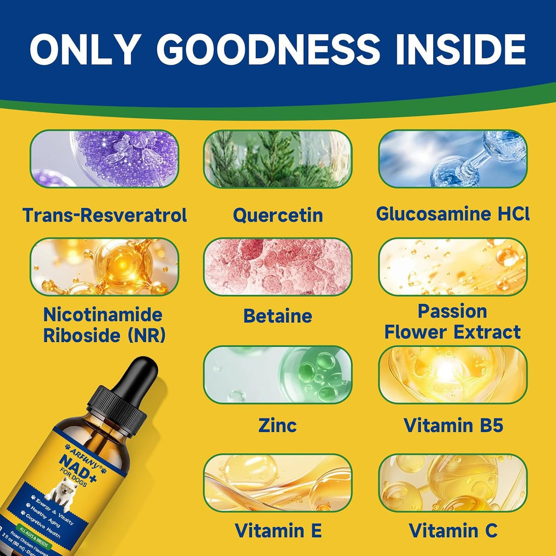 NAD+ Longevity Supplement for Senior Dogs, Vitality, Cognitive Health