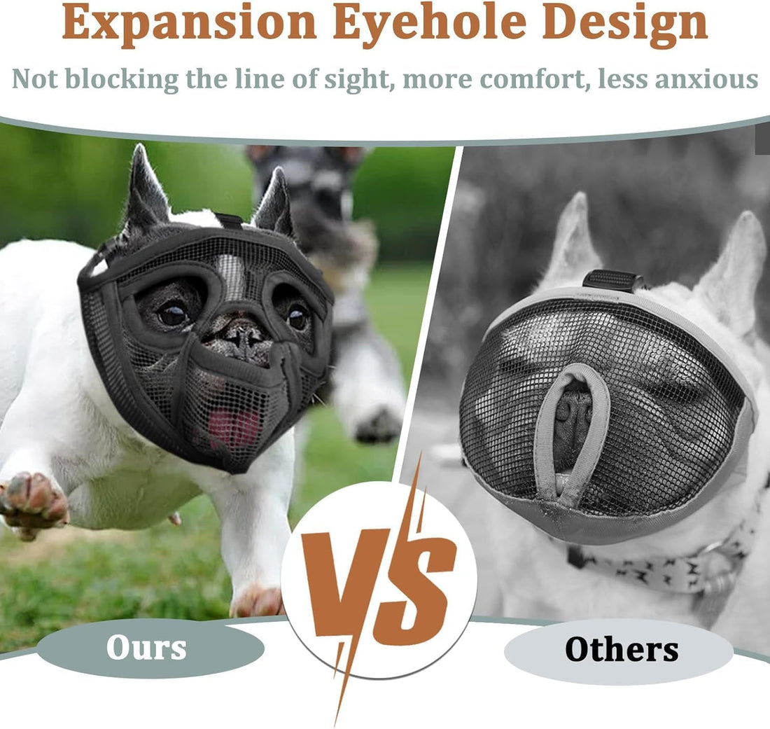 Mayerzon English Bulldog Muzzle