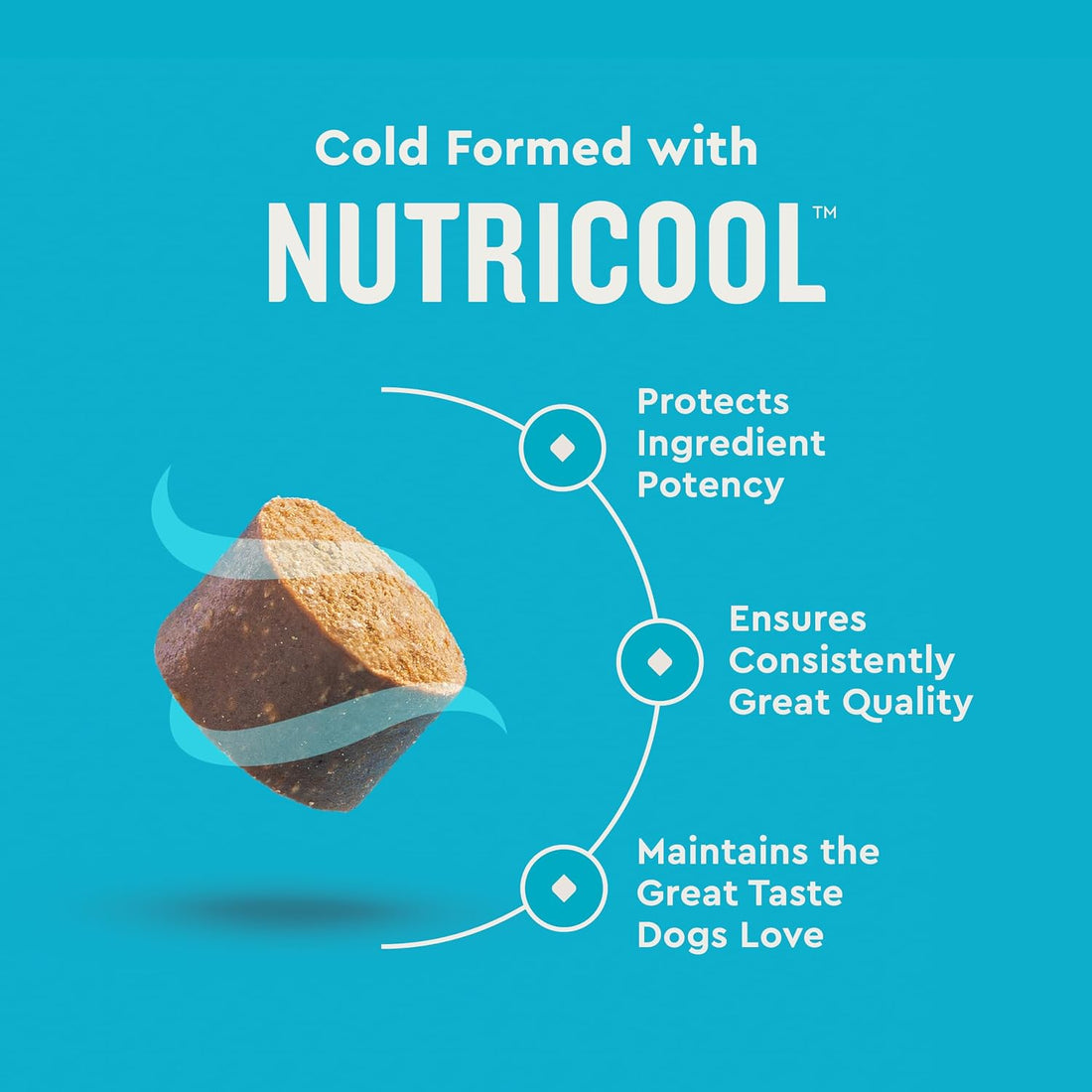 VetIQ Skin and Coat Supplement for Dogs