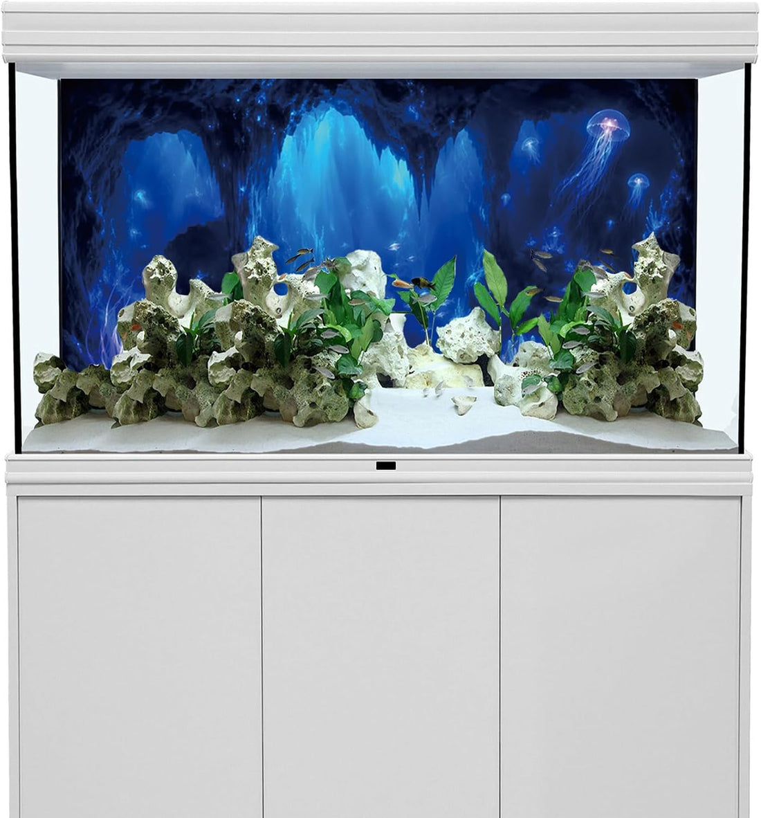 Underwater Blue Cave Jellyfish Aquarium Background