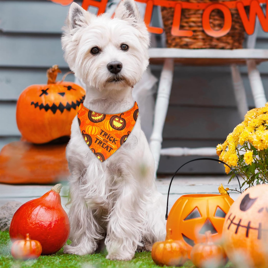 Preboun 50 Pcs Halloween Dog Bandanas Bulk
