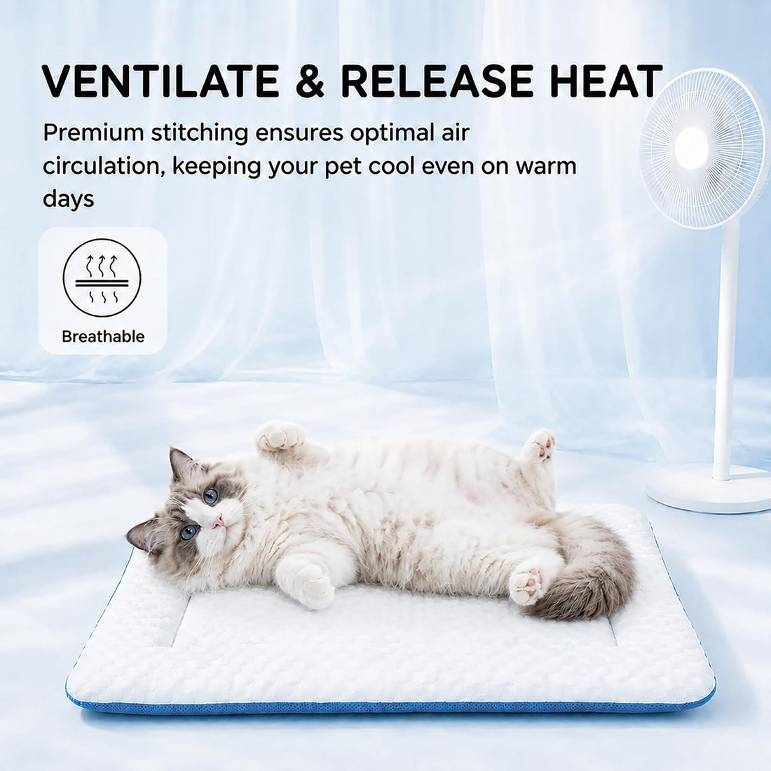Water-Fill Cooling Cat Bed, Thick Cushion, Raised Bolsters