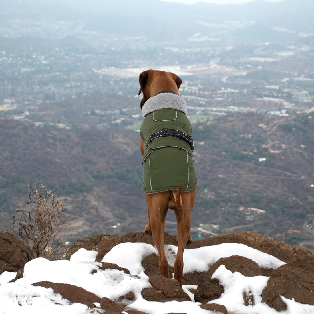 Lelepet Warm Dog Coat Waterproof Dog Jacket for Large Dogs Reflective