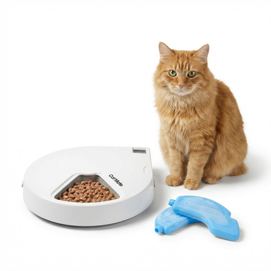 Cat Mate C500 Automatic 5 Bowl Digital Timer-Controlled Pet Feeder