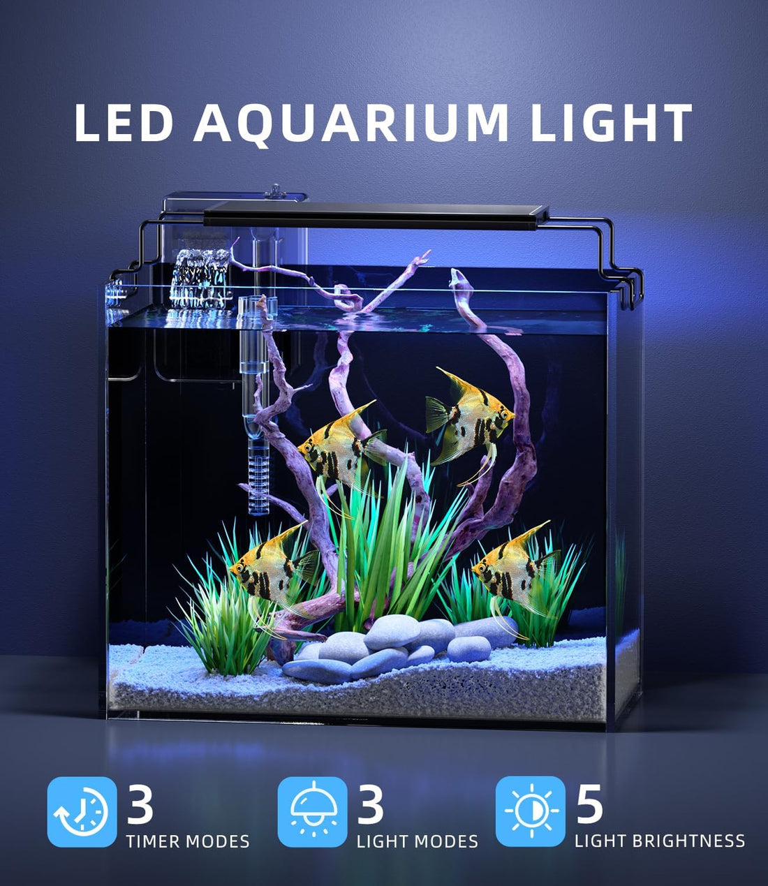 5 Gallon Fish Tank Aquarium Starter Kit with Filter Light Lid Rimless