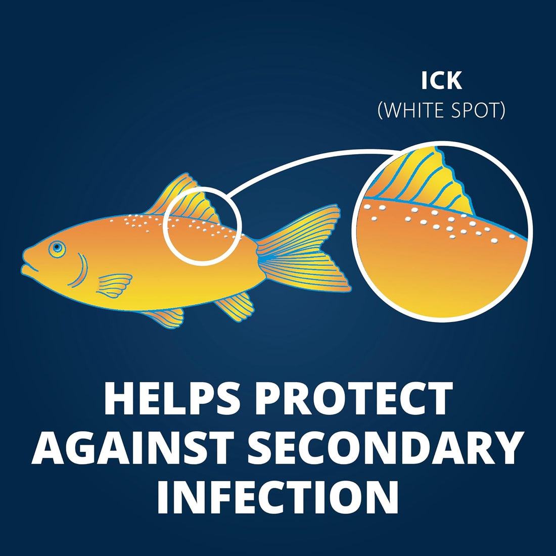 Tetra Ick Guard Conditioning Remedy for Fish, 8 Count