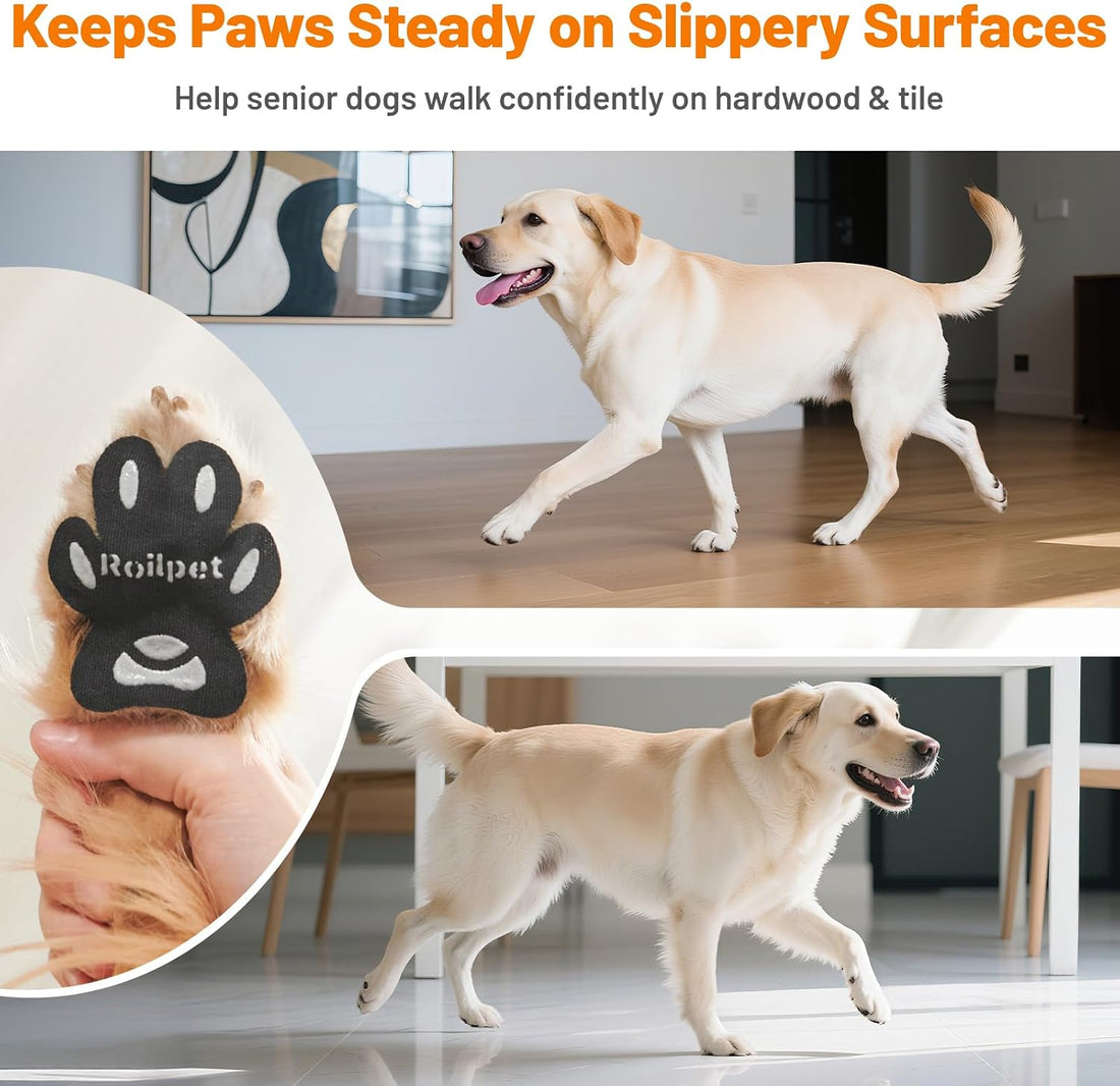 Dog Paw Pads for Senior Dogs to Prevent Slipping on Hardwood Floors