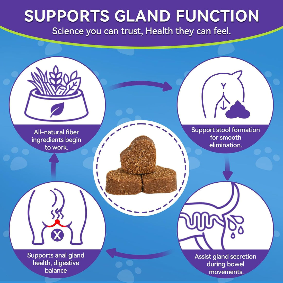 Anal Gland Chews for Dogs, No Scoot for Dogs, Pumpkin Fiber