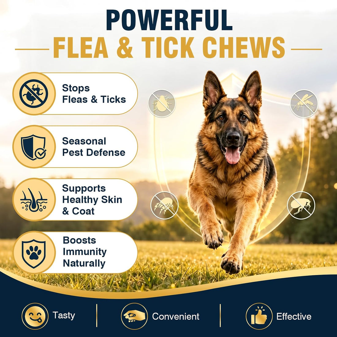 200 Soft Chews Flea and Tick Protection for Dogs Chewable-Natural