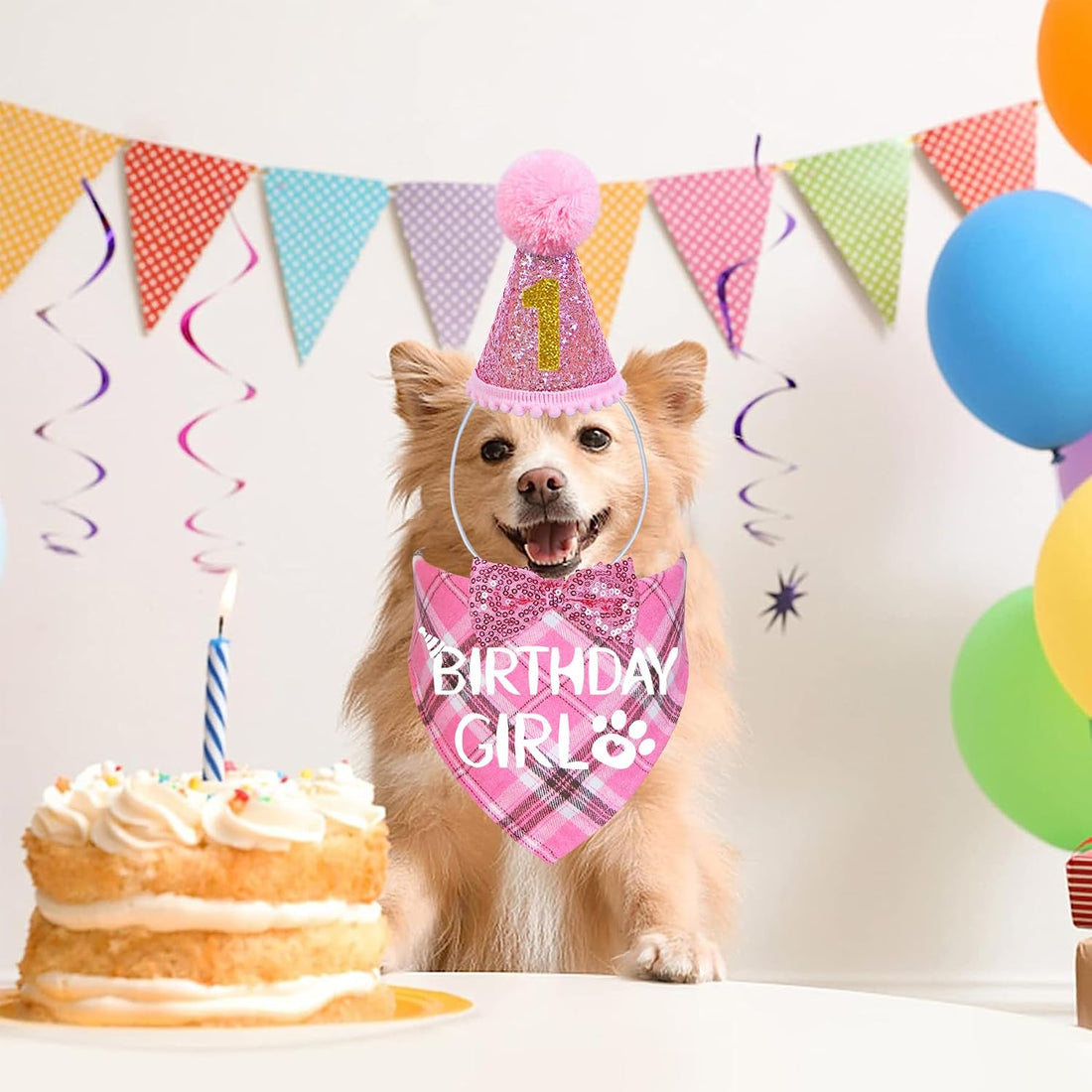 STMK Dog Birthday Outfits, Multi Size Dog Birthday Hat Dog Birthday
