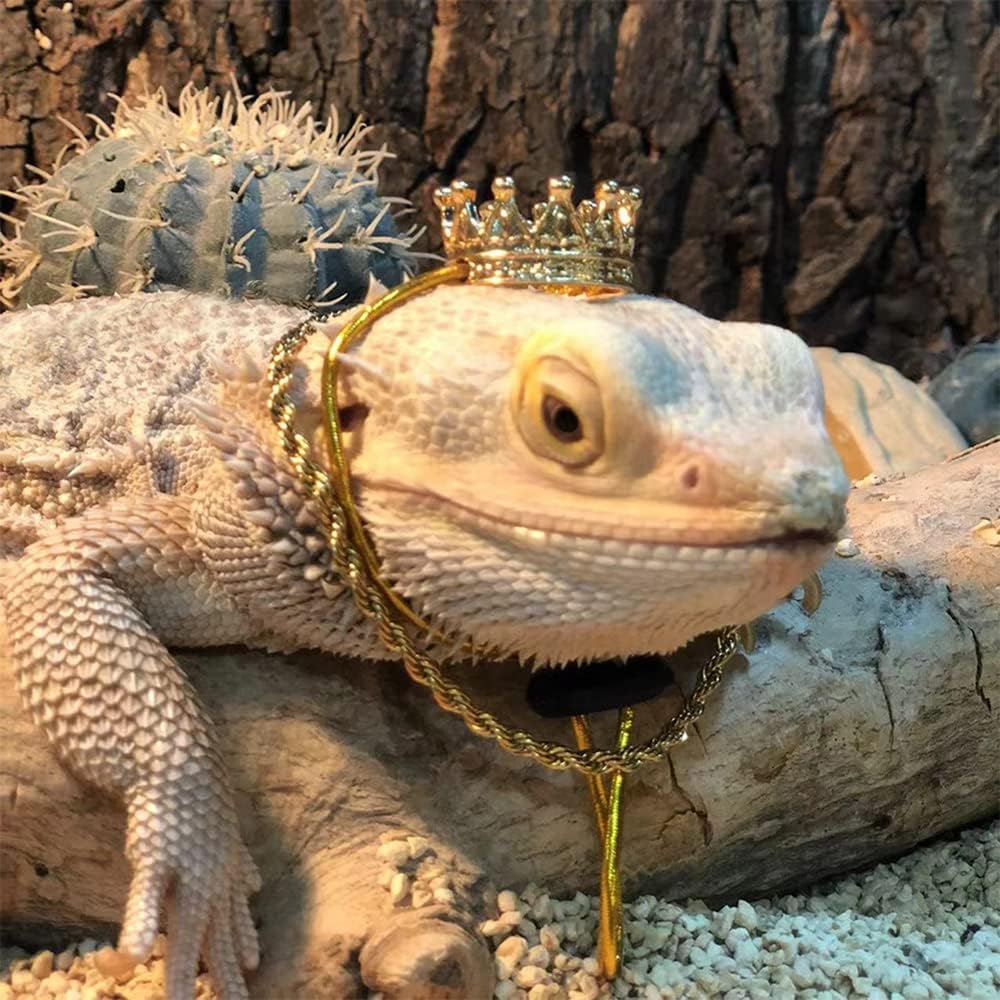 2Pcs Lizard Crown Necklace Set Metal Lizard Outfit Reptile Clothes