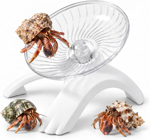 Hamster Wheel, 12.7cm Diameter Hermit Crab Wheel for Small Pets