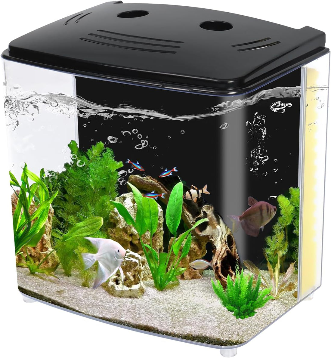 AQUANEAT Fish Tank, 1.2 Gallon Aquarium