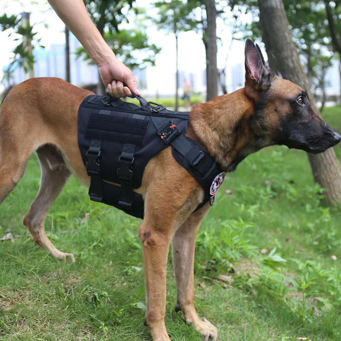 ICEFANG GN3 Tactical Dog Harness with 6X Buckle,Dog Molle Vest
