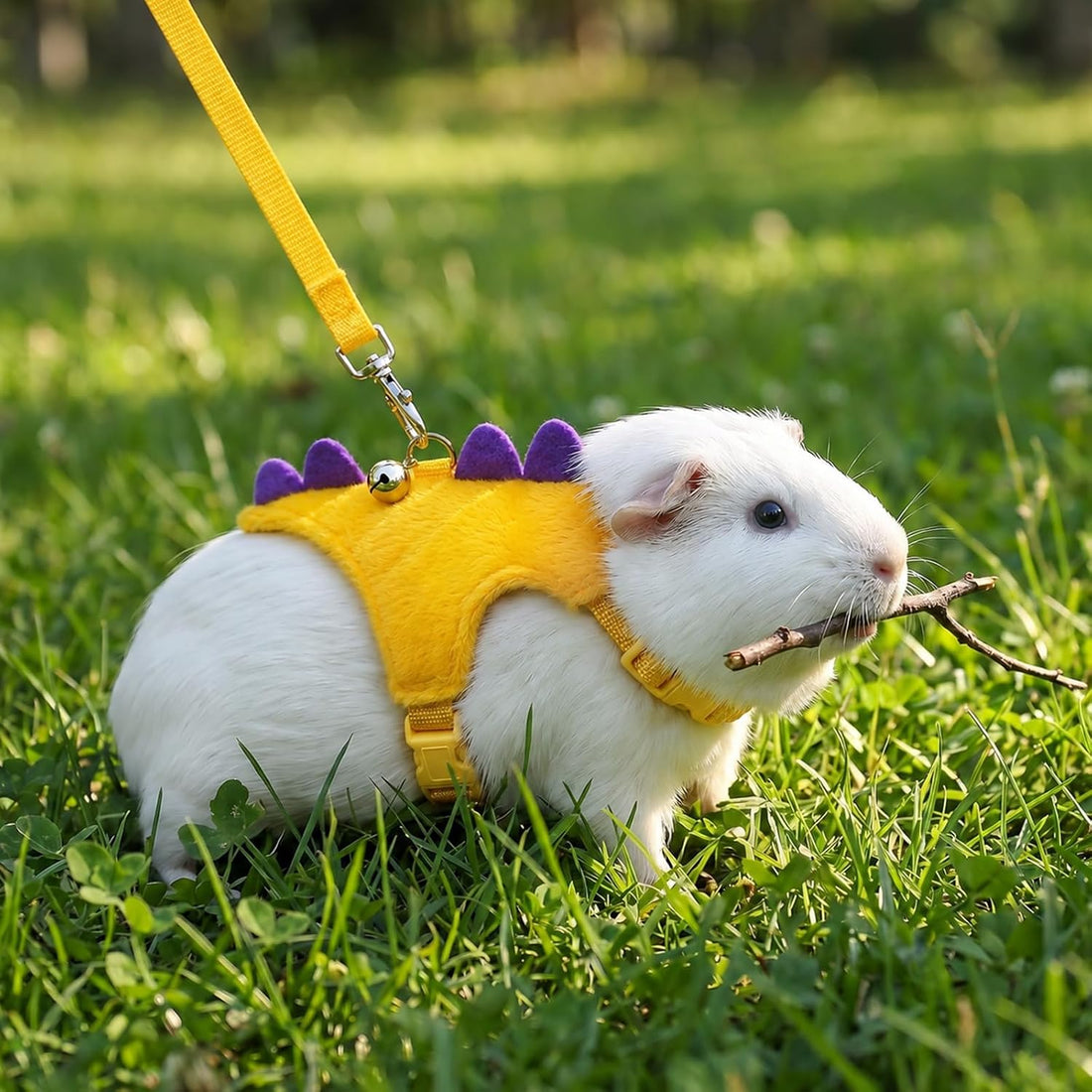 Ferret Harness and Leash Set, Yellow Adjustable Vest for Ferret