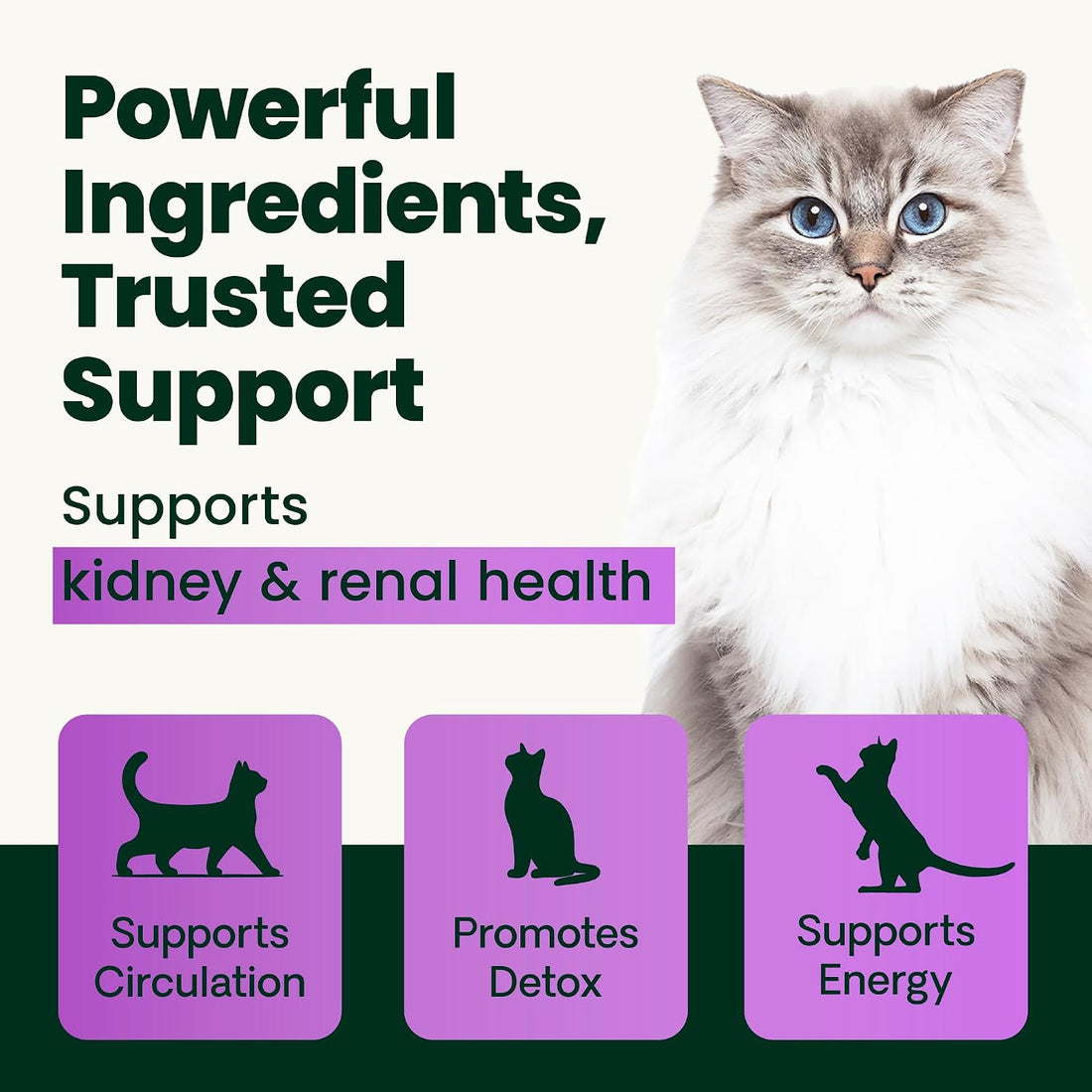 VetriScience Kidney Health Powder for Cats, Chicken & Cheese