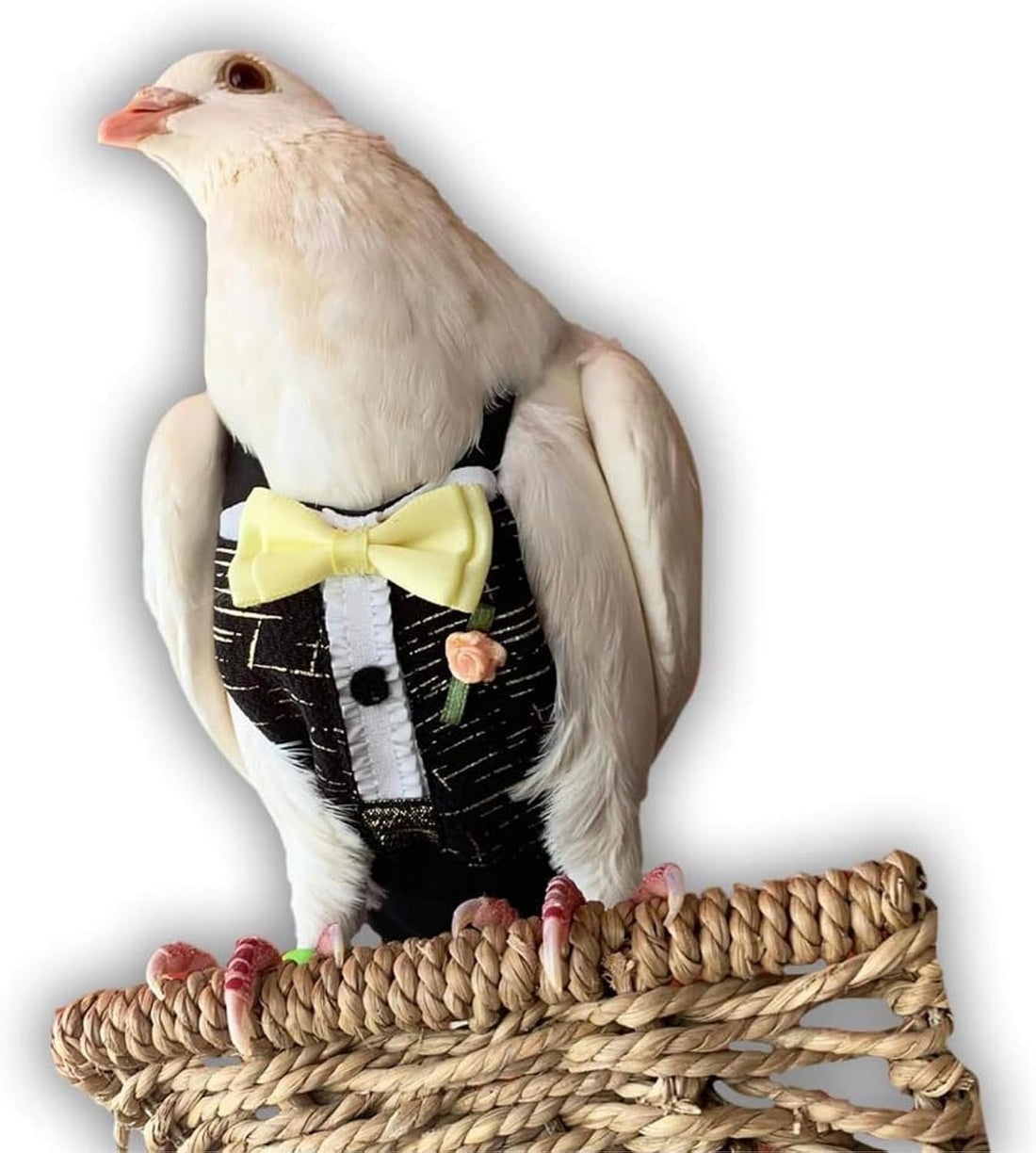 Bev's Bird Boutique Regular Flyper Adjustable Bird Diaper | Reusable