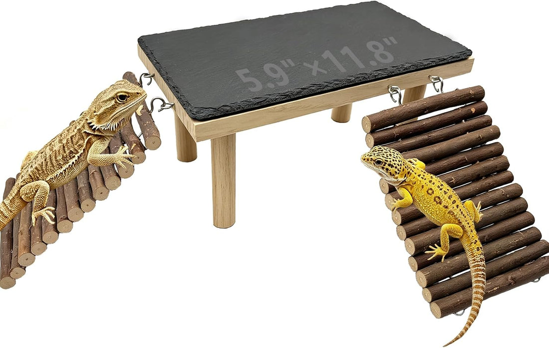 Bearded Dragon Basking Platform with Climbing Ramp & Reptile Rock