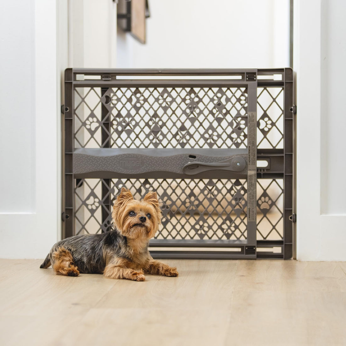 MYPET Paws Portable Pet Gate: 26-40" Wide Expandable
