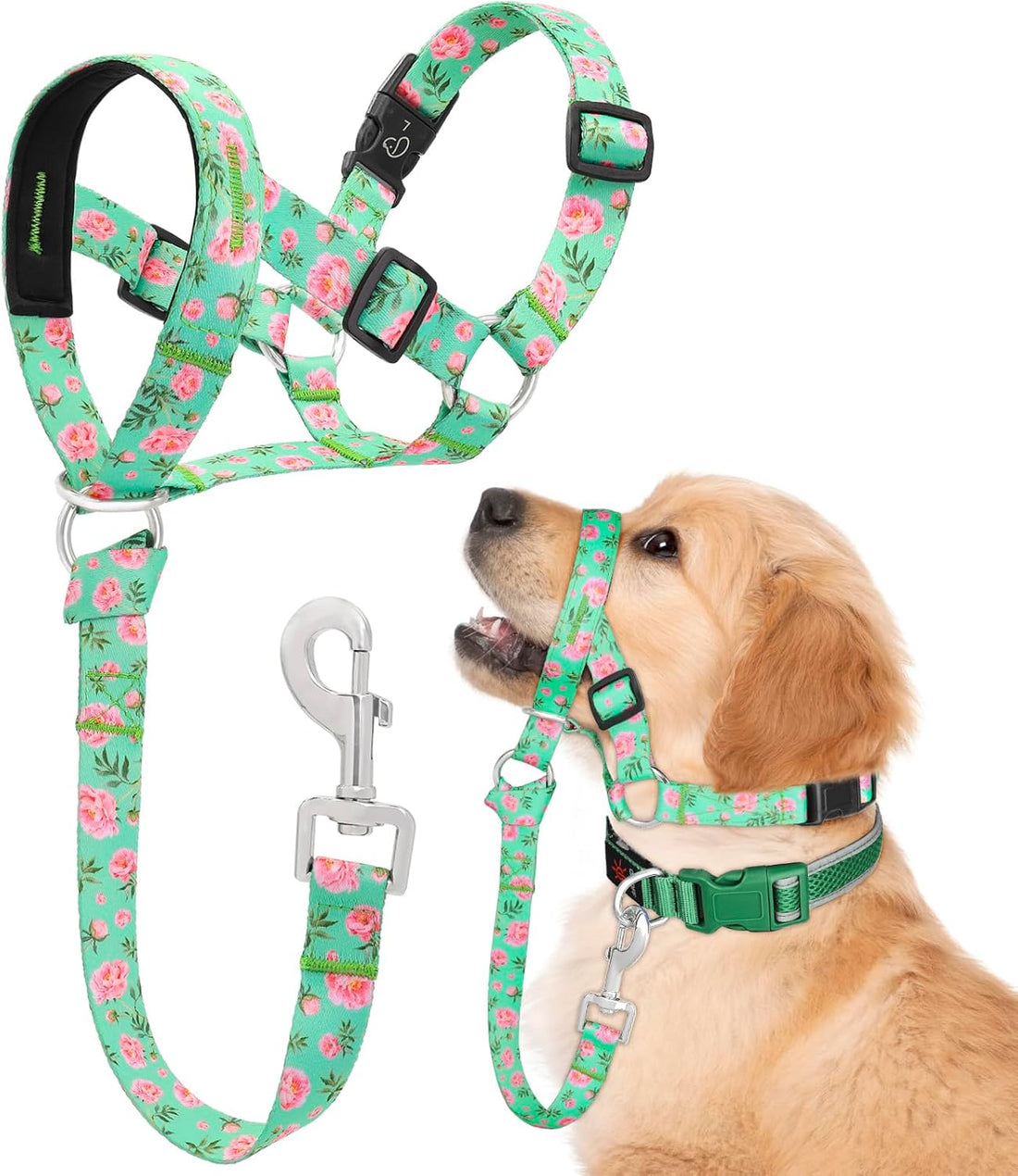 Dog Head Collar, Printed No-Pull Headcollar