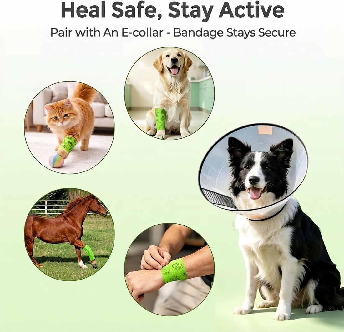 6 Rolls Quibra Vet Wrap,Self Adhesive Bandage Wrap,Stop Licking Wound