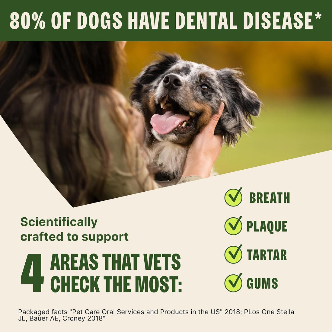 Wellness WHIMZEES Value Pack Natural Dog Dental Treat, Chews