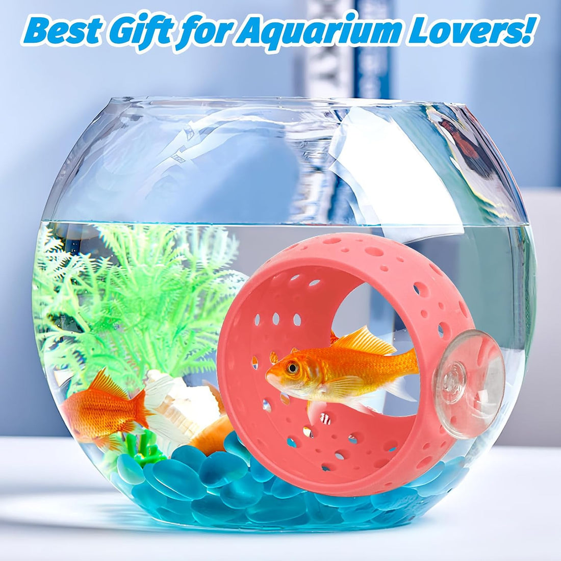 Fhiny Betta Tunnel, Aquarium Betta Fish Hideout with Suction Cup Fish