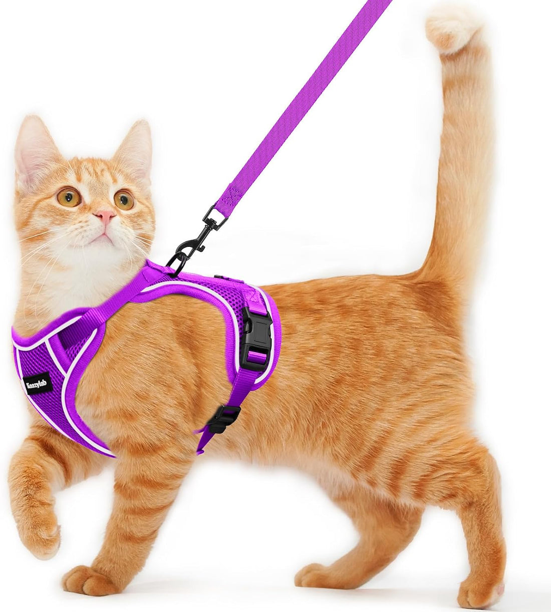 Cat Harness and Leash for Walking Escape Proof Soft Adjustable Cat